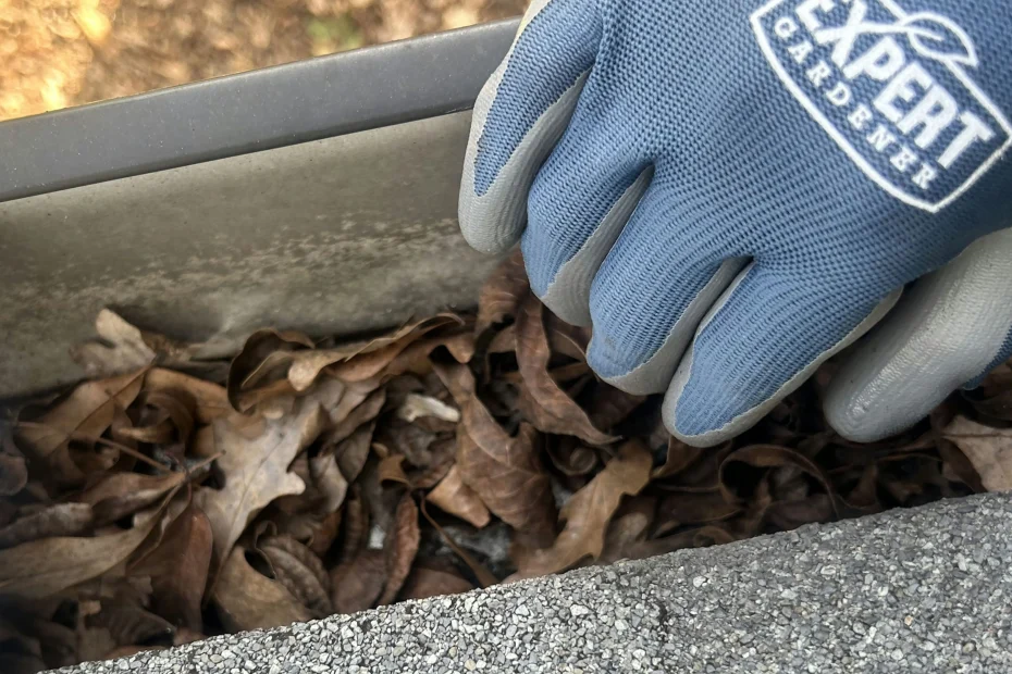 Gutter Cleaning Minden