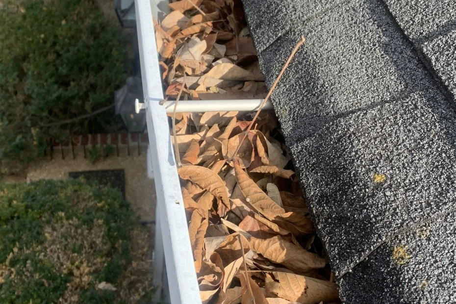 Gutter Cleaning Minden