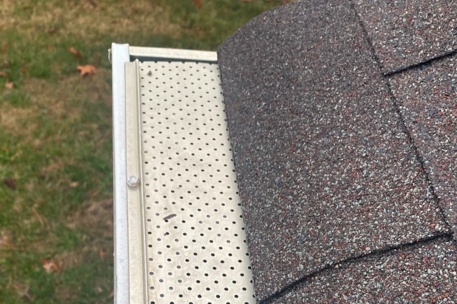 Gutter Cleaning Minden