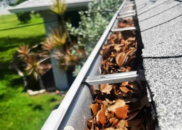 Gutter Cleaning Minden home page